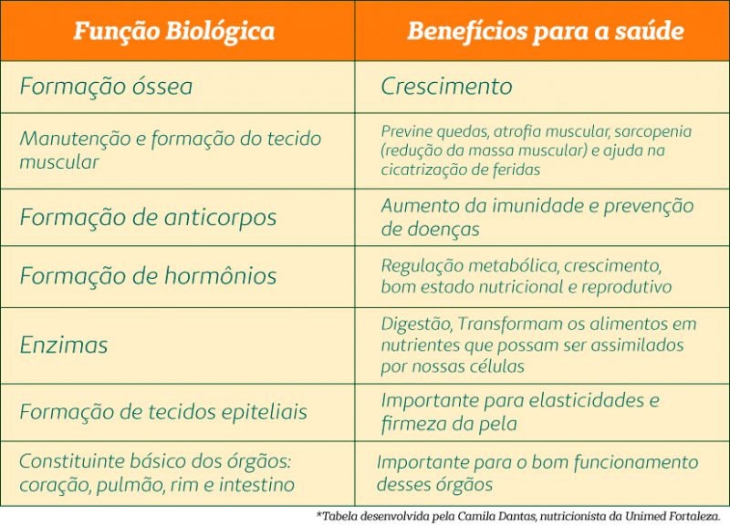 Alimentos Construtores Veja Quais São E Entenda Sua Função No Organismo 9953